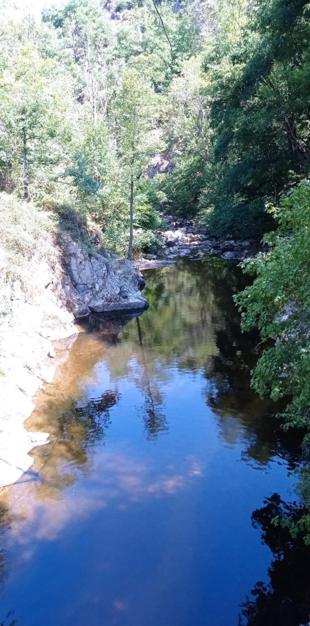 Au Fil De L' Eau Διαμέρισμα Aurec-Sur-Loire Εξωτερικό φωτογραφία